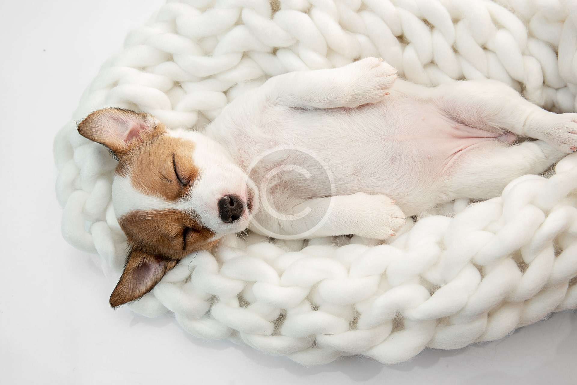 Soft Dog Mat