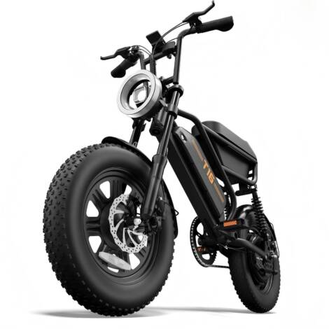 T16 Electric Bike. 48V 13Ah Battery Powers 100KM Adventures, 250W Motor, 16*3.0" All-Terrain Tires & Full Suspension. Storage Box and Lights Make Every Journey Complete